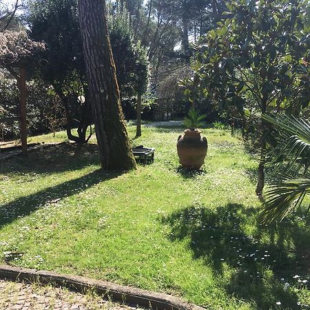 Old Town In The Green: Federico'S Apartment. Florence Extérieur photo