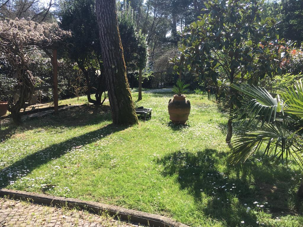 Old Town In The Green: Federico'S Apartment. Florence Extérieur photo