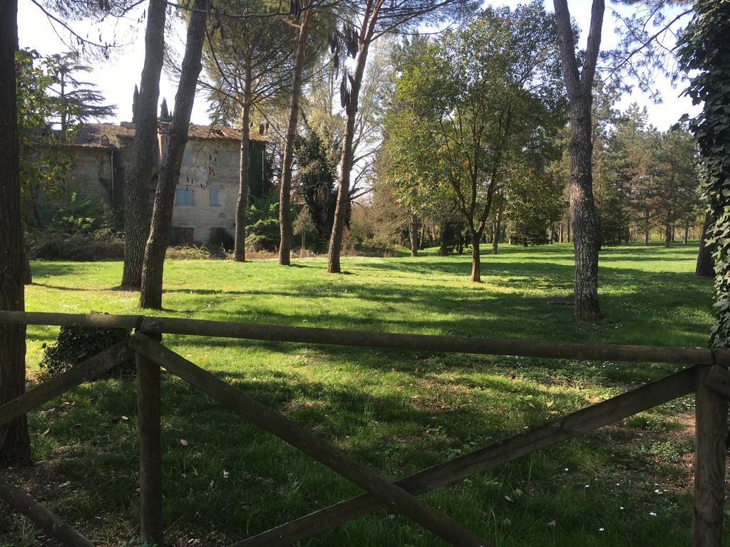 Old Town In The Green: Federico'S Apartment. Florence Extérieur photo