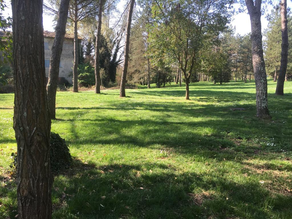 Old Town In The Green: Federico'S Apartment. Florence Extérieur photo